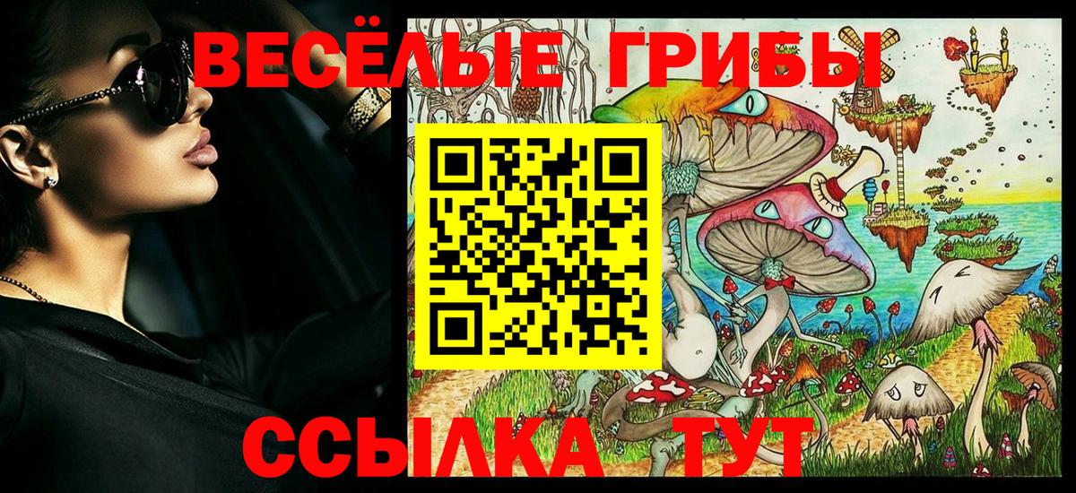 Псилоцибиновые грибы Psilocybine cubensis Реж